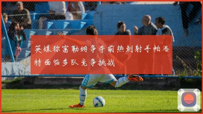 英媒称富勒姆争夺前热刺射手帕洛特面临多队竞争挑战