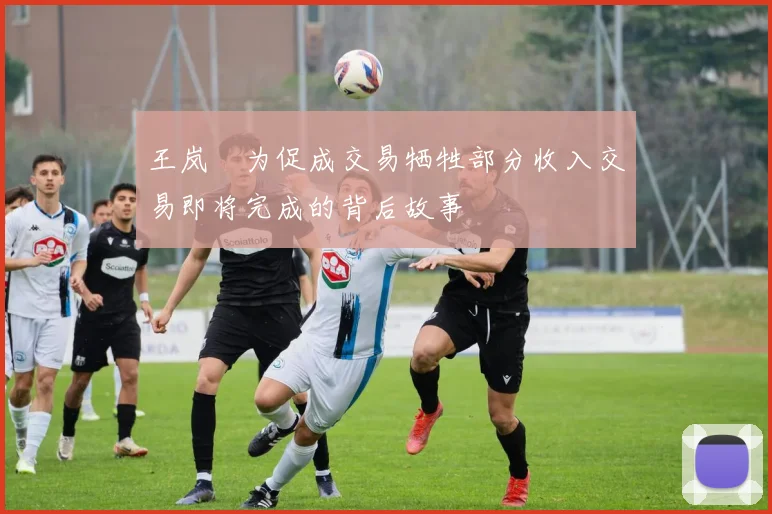 王岚嵚为促成交易牺牲部分收入交易即将完成的背后故事